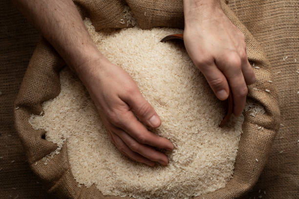 برنج صدری خوشپخت انتخاب خاص خانواده ایرانی